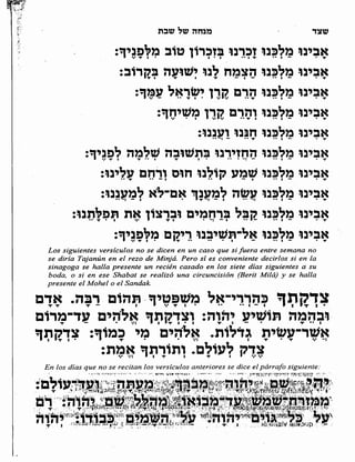 Sidur bircat shelomo libro de rezos