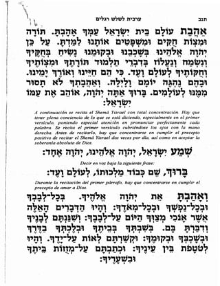 Sidur bircat shelomo libro de rezos