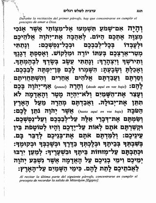 Sidur bircat shelomo libro de rezos