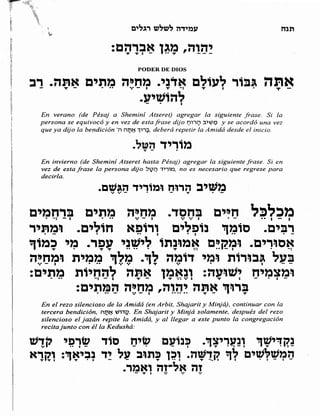 Sidur bircat shelomo libro de rezos