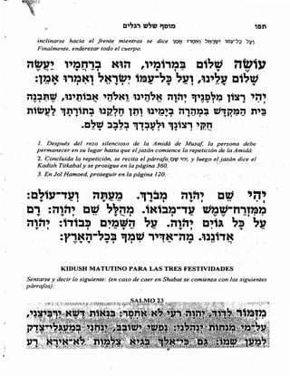 Sidur bircat shelomo libro de rezos