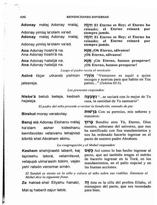 Sidur bircat shelomo libro de rezos