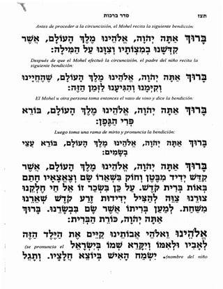 Sidur bircat shelomo libro de rezos