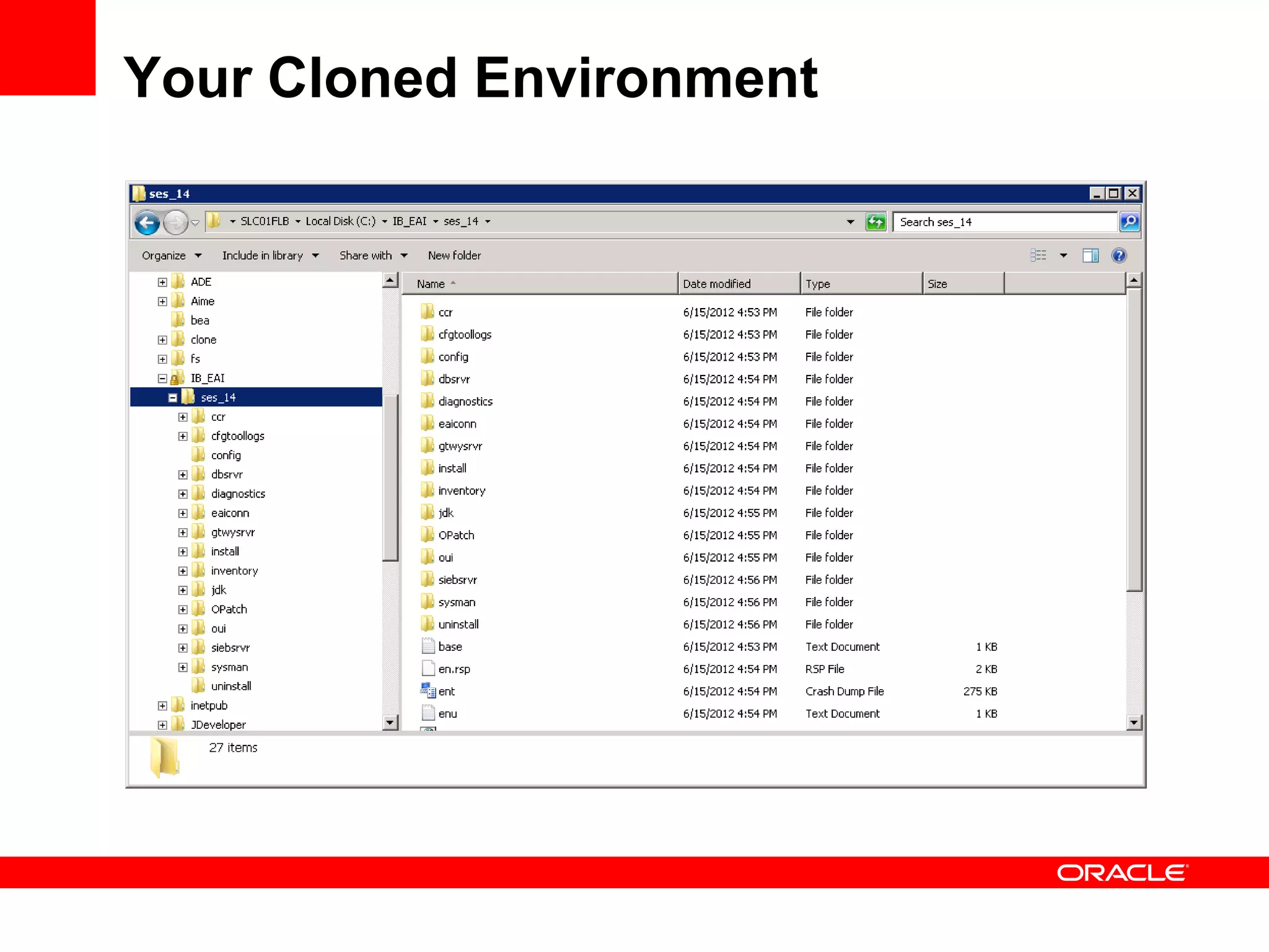 Your Cloned Environment
 