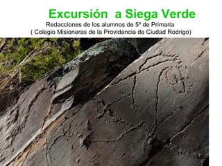 Excursión a Siega Verde
      Redacciones de los alumnos de 5º de Primaria
( Colegio Misioneras de la Providencia de Ciudad Rodrigo)
 