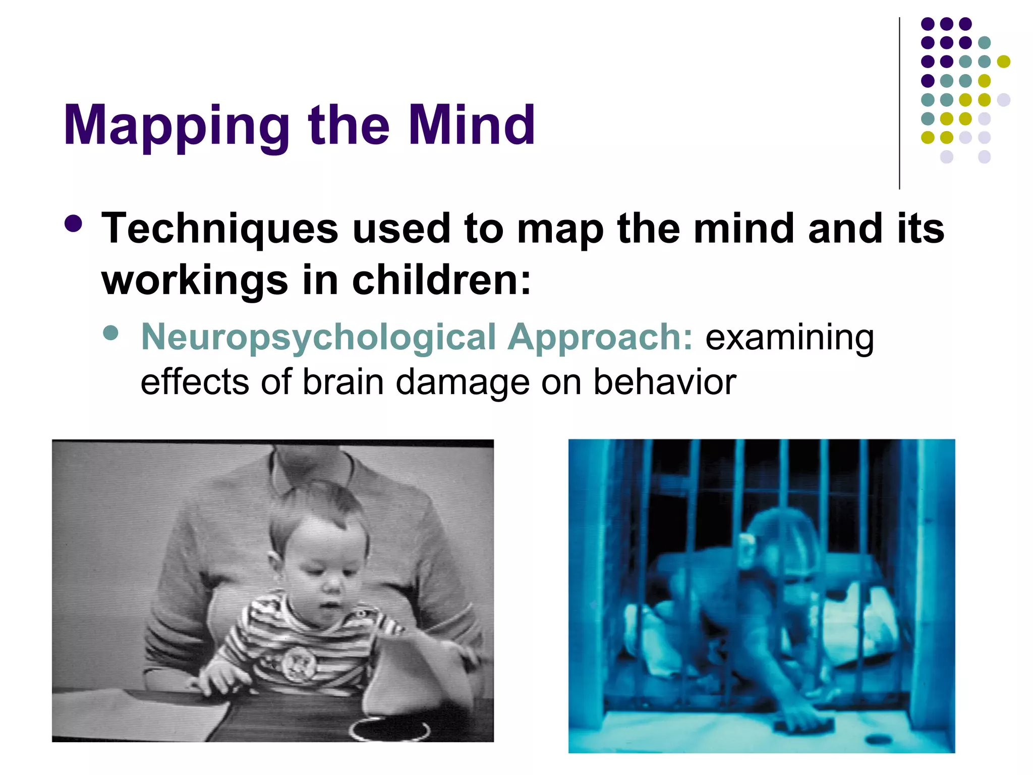 Mapping the Mind
 Techniques used to map the mind and its
workings in children:
 Neuropsychological Approach: examining
effects of brain damage on behavior
 