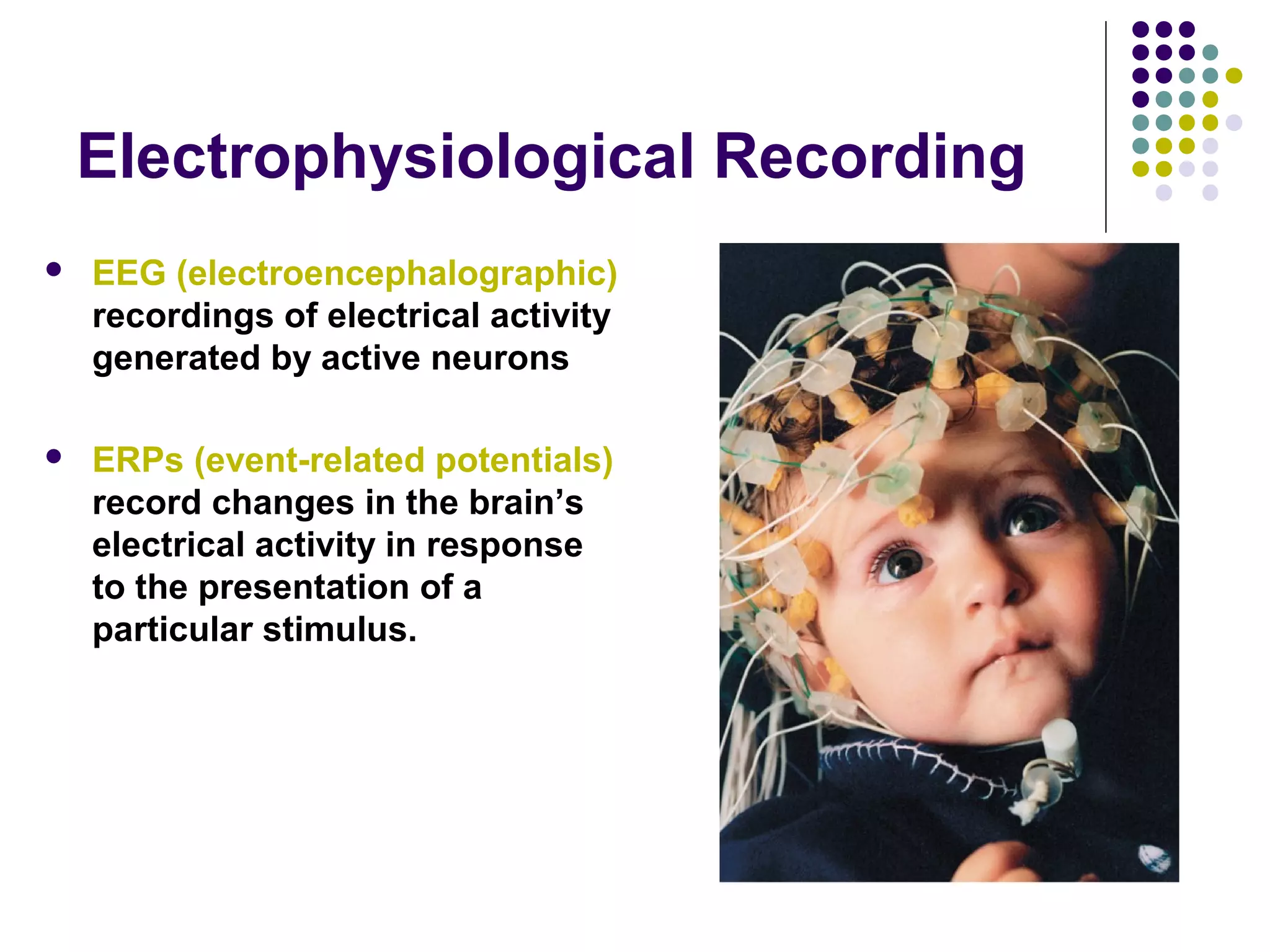 Electrophysiological Recording
 EEG (electroencephalographic)
recordings of electrical activity
generated by active neurons
 ERPs (event-related potentials)
record changes in the brain’s
electrical activity in response
to the presentation of a
particular stimulus.
 