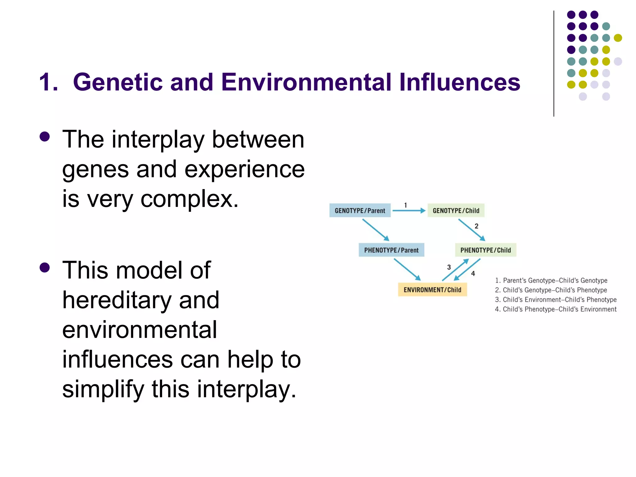 1. Genetic and Environmental Influences
 The interplay between
genes and experience
is very complex.
 This model of
hereditary and
environmental
influences can help to
simplify this interplay.
 