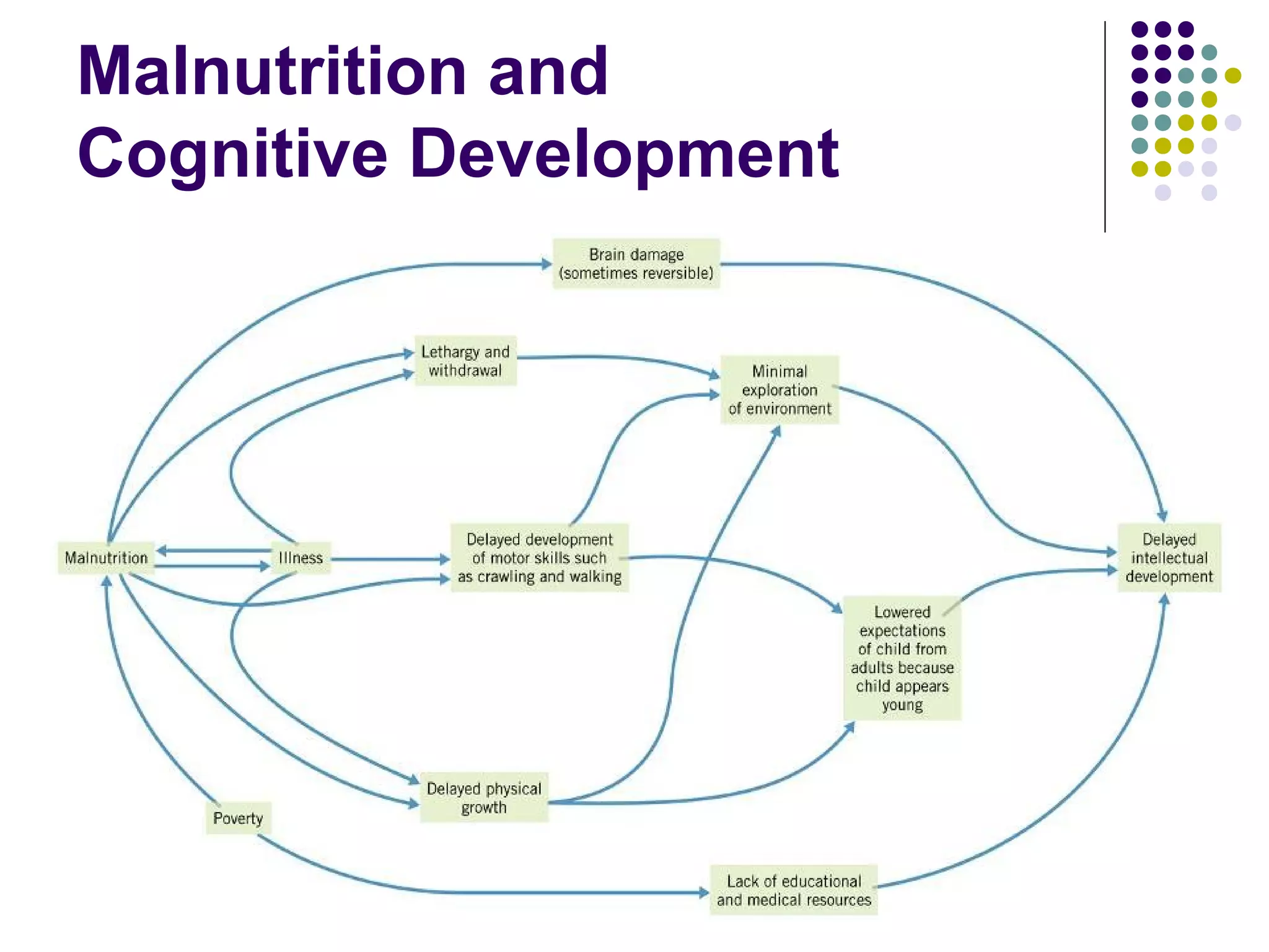 Malnutrition and
Cognitive Development
 