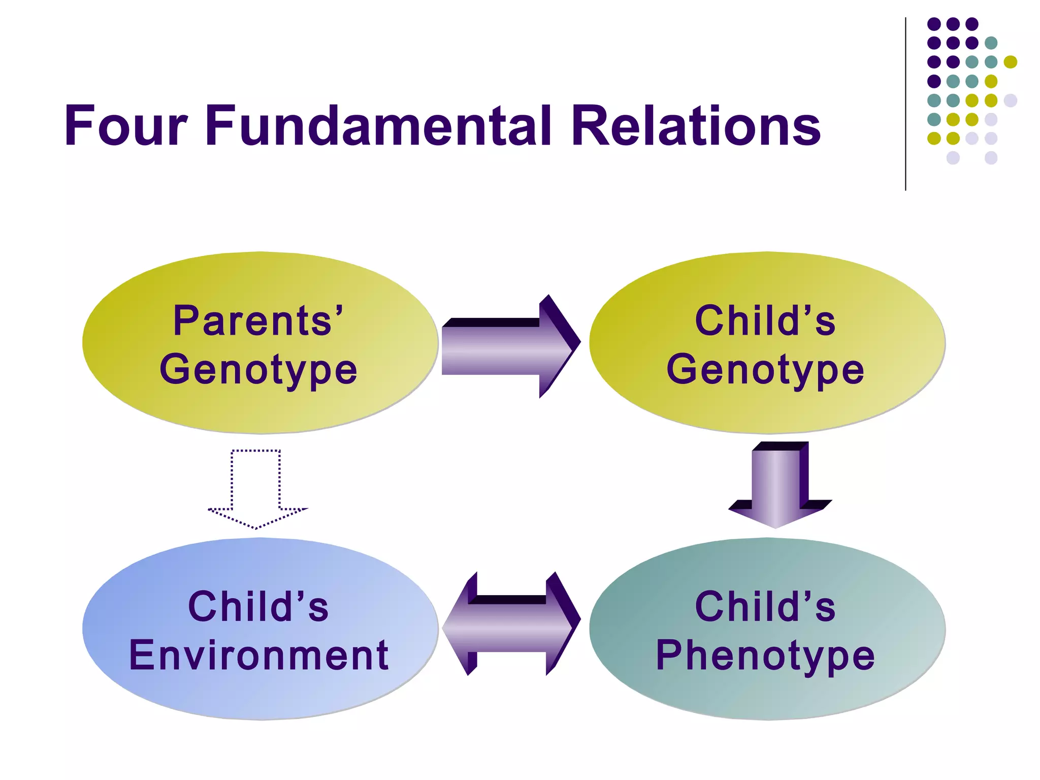 Four Fundamental Relations
Parents’
Genotype
Parents’
Genotype
Child’s
Genotype
Child’s
Genotype
Child’s
Environment
Child’s
Environment
Child’s
Phenotype
Child’s
Phenotype
 