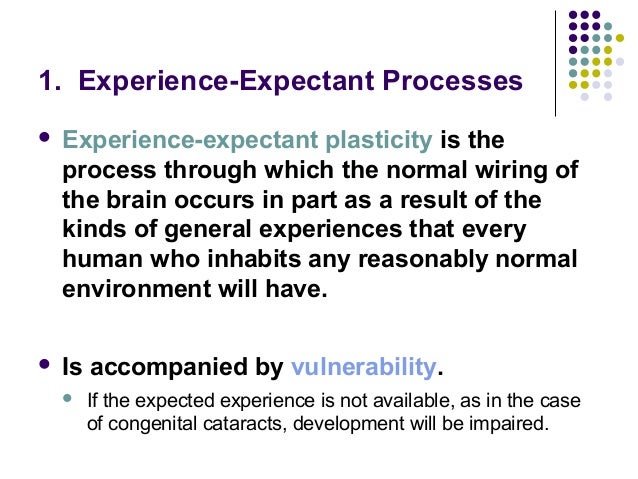biological foundations experience expectant brain growth