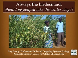 Always the bridesmaid:
Should pigeonpea take the center stage?
Sieg Snapp, Professor of Soils and Cropping Systems Ecology,
Associate Director, Center for Global Change, MSU
 