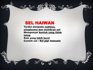 SEL HAIWAN
Terdiri daripada nukleus,
sitoplasma dan membran sel
Mempunyai bentuk yang tidak
tetap
Saiz yang lebih kecil
Contoh sel : Sel pipi manusia
 