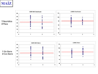 MAÍZ 
