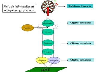 Objetivos de la empresa Administradores Gerentes Subgerentes Encargados Tractoristas Contratistas LOTE Asesores Flujo de información en la empresa agropecuaria Objetivos particulares Objetivos particulares Objetivos particulares 