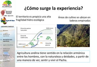 ¿Cómo surge la experiencia?
El territorio es propicia una alta
fragilidad hidro-ecológica
Áreas de cultivo se ubican en
laderas empinadas
Agricultura andina tiene sentido en la relación armónica
entre los hombres, con la naturaleza y deidades, a partir de
una manera de ver, sentir y vivir el Pacha.
1. Resumen
2. Ámbito de la
experiencia
3. Descripción de la
experiencia
4. Logros y beneficios
5. Análisis de la
experiencia
presentada
6. Conclusiones
7. Pautas y
perspectivas
CONTENIDO TEMÁTICO
 