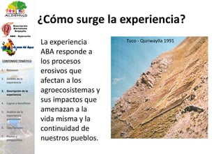 ¿Cómo surge la experiencia?
La experiencia
ABA responde a
los procesos
erosivos que
afectan a los
agroecosistemas y
sus impactos que
amenazan a la
vida misma y la
continuidad de
nuestros pueblos.
Tuco - Quriwaylla 1991
1. Resumen
2. Ámbito de la
experiencia
3. Descripción de la
experiencia
4. Logros y beneficios
5. Análisis de la
experiencia
presentada
6. Conclusiones
7. Pautas y
perspectivas
CONTENIDO TEMÁTICO
 