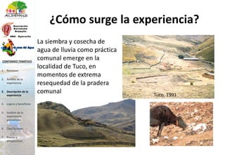 ¿Cómo surge la experiencia?
Tuco, 1991
La siembra y cosecha de
agua de lluvia como práctica
comunal emerge en la
localidad de Tuco, en
momentos de extrema
resequedad de la pradera
comunal
1. Resumen
2. Ámbito de la
experiencia
3. Descripción de la
experiencia
4. Logros y beneficios
5. Análisis de la
experiencia
presentada
6. Conclusiones
7. Pautas y
perspectivas
CONTENIDO TEMÁTICO
 