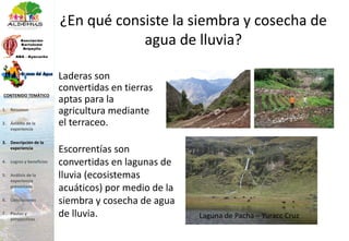 ¿En qué consiste la siembra y cosecha de
agua de lluvia?
Laderas son
convertidas en tierras
aptas para la
agricultura mediante
el terraceo.
Escorrentías son
convertidas en lagunas de
lluvia (ecosistemas
acuáticos) por medio de la
siembra y cosecha de agua
de lluvia. Laguna de Pacha – Yuracc Cruz
1. Resumen
2. Ámbito de la
experiencia
3. Descripción de la
experiencia
4. Logros y beneficios
5. Análisis de la
experiencia
presentada
6. Conclusiones
7. Pautas y
perspectivas
CONTENIDO TEMÁTICO
 