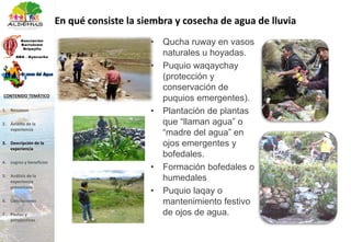 En qué consiste la siembra y cosecha de agua de lluvia
• Qucha ruway en vasos
naturales u hoyadas.
• Puquio waqaychay
(protección y
conservación de
puquios emergentes).
• Plantación de plantas
que “llaman agua” o
“madre del agua” en
ojos emergentes y
bofedales.
• Formación bofedales o
humedales
• Puquio laqay o
mantenimiento festivo
de ojos de agua.
1. Resumen
2. Ámbito de la
experiencia
3. Descripción de la
experiencia
4. Logros y beneficios
5. Análisis de la
experiencia
presentada
6. Conclusiones
7. Pautas y
perspectivas
CONTENIDO TEMÁTICO
 