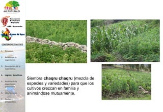 Siembra chaqru chaqru (mezcla de
especies y variedades) para que los
cultivos crezcan en familia y
animándose mutuamente.
1. Resumen
2. Ámbito de la
experiencia
3. Descripción de la
experiencia
4. Logros y beneficios
5. Análisis de la
experiencia
presentada
6. Conclusiones
7. Pautas y
perspectivas
CONTENIDO TEMÁTICO
 