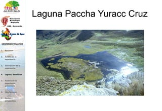 Laguna Paccha Yuracc Cruz
1. Resumen
2. Ámbito de la
experiencia
3. Descripción de la
experiencia
4. Logros y beneficios
5. Análisis de la
experiencia
presentada
6. Conclusiones
7. Pautas y
perspectivas
CONTENIDO TEMÁTICO
 