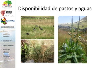 Disponibilidad de pastos y aguas
1. Resumen
2. Ámbito de la
experiencia
3. Descripción de la
experiencia
4. Logros y beneficios
5. Análisis de la
experiencia
presentada
6. Conclusiones
7. Pautas y
perspectivas
CONTENIDO TEMÁTICO
 