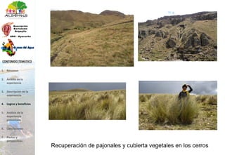 Recuperación de pajonales y cubierta vegetales en los cerros
1. Resumen
2. Ámbito de la
experiencia
3. Descripción de la
experiencia
4. Logros y beneficios
5. Análisis de la
experiencia
presentada
6. Conclusiones
7. Pautas y
perspectivas
CONTENIDO TEMÁTICO
 
