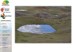 1. Resumen
2. Ámbito de la
experiencia
3. Descripción de la
experiencia
4. Logros y beneficios
5. Análisis de la
experiencia
presentada
6. Conclusiones
7. Pautas y
perspectivas
CONTENIDO TEMÁTICO
 