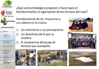 ¿Qué sería estratégico proponer y hacer para el
fortalecimiento, la vigorización de las terrazas del caso?
1. Los comuneros y sus percepciones.
2. Los beneficios de lo que se
revalora.
3. El compromiso del grupo de
técnicos que acompaña.
Fortalecimiento de los chacareros y
sus saberes en la crianza.
1. Resumen
2. Ámbito de la
experiencia
3. Descripción de la
experiencia
4. Logros y beneficios
5. Análisis de la
experiencia
presentada
6. Conclusiones
7. Pautas y
perspectivas
CONTENIDO TEMÁTICO
 