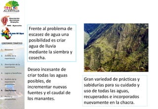 Frente al problema de
escasez de agua una
posibilidad es criar
agua de lluvia
mediante la siembra y
cosecha.
1. Resumen
2. Ámbito de la
experiencia
3. Descripción de la
experiencia
4. Logros y beneficios
5. Análisis de la
experiencia
presentada
6. Conclusiones
7. Pautas y
perspectivas
CONTENIDO TEMÁTICO
Deseo incesante de
criar todas las aguas
posibles, de
incrementar nuevas
fuentes y el caudal de
los manantes.
Gran variedad de prácticas y
sabidurías para su cuidado y
uso de todas las aguas,
recuperados e incorporados
nuevamente en la chacra.
 