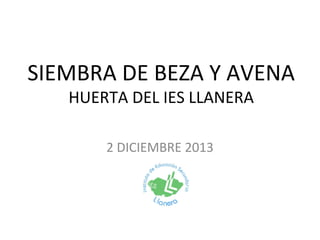 SIEMBRA DE BEZA Y AVENA
HUERTA DEL IES LLANERA
2 DICIEMBRE 2013

 
