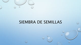 SIEMBRA DE SEMILLAS
 