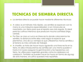 TECNICAS DE SIEMBRA DIRECTA 
 La siembra directa se puede hacer mediante diferentes técnicas: 
 A voleo: es el método más rápido. Las semillas se esparcen con la 
mano (o una máquina especializada); si son minúsculas se 
mezclarán con tierra para que el reparto sea más regular. Es ideal 
para los cultivos intensivos que producen mucha cantidad (trigo, 
cereal). 
 Por filas: se crea un surco en línea recta donde colocaremos las 
semillas, la distancia entre ellas varía según la especie que 
plantemos. Una de sus ventajas es que utilizaremos menos semillas y 
el terreno es más cómodo de trabajar. 
 A chorrillo: se trata de hacer hoyos siguiendo una línea recta en la 
tierra. En ellos introduciremos las semillas (en uno mismo pueden ir 
hasta 4 ó 5 para asegurar la germinación) y las taparemos con 
tierra. Se utiliza para vegetales grandes como la calabaza o el 
calabacín. También se pueden hacer los hoyos en forma de zig-zag: 
de esta manera, el cultivo quedará más repartido. 
 