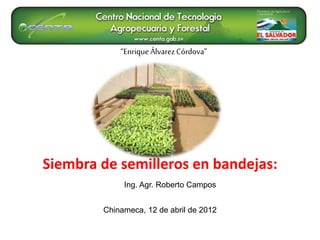 Siembra de semilleros en bandejas:
“Enrique Álvarez Córdova”
Ing. Agr. Roberto Campos
Chinameca, 12 de abril de 2012
 
