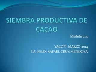Modulo dos
YACOPÍ, MARZO 2014
I.A. FELIX RAFAEL CRUZ MENDOZA
 