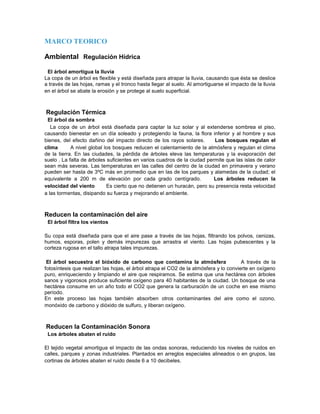 MARCO TEORICO
Ambiental Regulación Hídrica
El árbol amortigua la lluvia
La copa de un árbol es flexible y está diseñada para atrapar la lluvia, causando que ésta se deslice
a través de las hojas, ramas y el tronco hasta llegar al suelo. Al amortiguarse el impacto de la lluvia
en el árbol se abate la erosión y se protege al suelo superficial.
Regulación Térmica
El árbol da sombra
La copa de un árbol está diseñada para captar la luz solar y al extenderse sombrea el piso,
causando bienestar en un día soleado y protegiendo la fauna, la flora inferior y al hombre y sus
bienes, del efecto dañino del impacto directo de los rayos solares. Los bosques regulan el
clima A nivel global los bosques reducen el calentamiento de la atmósfera y regulan el clima
de la tierra. En las ciudades, la pérdida de árboles eleva las temperaturas y la evaporación del
suelo . La falta de árboles suficientes en varios cuadros de la ciudad permite que las islas de calor
sean más severas. Las temperaturas en las calles del centro de la ciudad en primavera y verano
pueden ser hasta de 3ºC más en promedio que en las de los parques y alamedas de la ciudad; el
equivalente a 200 m de elevación por cada grado centígrado. Los árboles reducen la
velocidad del viento Es cierto que no detienen un huracán, pero su presencia resta velocidad
a las tormentas, disipando su fuerza y mejorando el ambiente.
Reducen la contaminación del aire
El árbol filtra los vientos
Su copa está diseñada para que el aire pase a través de las hojas, filtrando los polvos, cenizas,
humos, esporas, polen y demás impurezas que arrastra el viento. Las hojas pubescentes y la
corteza rugosa en el tallo atrapa tales impurezas.
El árbol secuestra el bióxido de carbono que contamina la atmósfera A través de la
fotosíntesis que realizan las hojas, el árbol atrapa el CO2 de la atmósfera y lo convierte en oxígeno
puro, enriqueciendo y limpiando el aire que respiramos. Se estima que una hectárea con árboles
sanos y vigorosos produce suficiente oxígeno para 40 habitantes de la ciudad. Un bosque de una
hectárea consume en un año todo el CO2 que genera la carburación de un coche en ese mismo
período.
En este proceso las hojas también absorben otros contaminantes del aire como el ozono,
monóxido de carbono y dióxido de sulfuro, y liberan oxígeno.
Reducen la Contaminación Sonora
Los árboles abaten el ruido
El tejido vegetal amortigua el impacto de las ondas sonoras, reduciendo los niveles de ruidos en
calles, parques y zonas industriales. Plantados en arreglos especiales alineados o en grupos, las
cortinas de árboles abaten el ruido desde 6 a 10 decibeles.
 