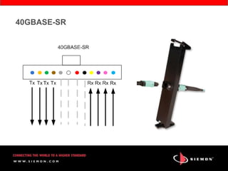 Siemon Carrie Higbie