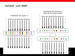 Siemon Carrie Higbie