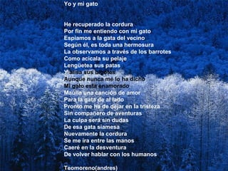 Yo y mi gato He recuperado la cordura Por fin me entiendo con mi gato Espiamos a la gata del vecino Según él, es toda una hermosura La observamos a través de los barrotes Como acicala su pelaje Lengüetea sus patas Y  alisa sus bigotes Aunque nunca me lo ha dicho Mi gato esta enamorado Maúlla una canción de amor Para la gata de al lado Pronto me ha de dejar en la tristeza Sin compañero de aventuras La culpa será sin dudas De esa gata siamesa Nuevamente la cordura Se me ira entre las manos Caeré en la desventura  De volver hablar con los humanos Teomoreno(andres)  
