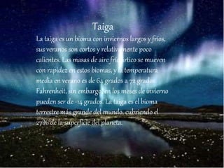 Taiga
La taiga es un bioma con inviernos largos y fríos,
sus veranos son cortos y relativamente poco
calientes. Las masas de aire frío ártico se mueven
con rapidez en estos biomas, y la temperatura
media en verano es de 64 grados a 72 grados
Fahrenheit, sin embargo, en los meses de invierno
pueden ser de -14 grados. La taiga es el bioma
terrestre más grande del mundo, cubriendo el
27% de la superficie del planeta.
 