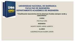 UNIVERSIDAD NACIONAL DE BARRANCA
FACULTAD DE INGENIERÍA
DEPARTAMENTO ACADÉMICO DE INGENIERÍA
“Clasificación taxonómica de los diversos frutales siempre verde y
caducifolios”
CURSO
FRUTICULTURA
INGENIERO
AGURTO ISIDRO JORGE ALBERTO
ALUMNO
ALBORNOZ ROJAS GILMER JUNIOR
 