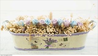 lunes 15 de agosto de 2016
 