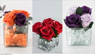 lunes 15 de agosto de 2016
 