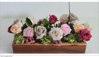 lunes 15 de agosto de 2016
 