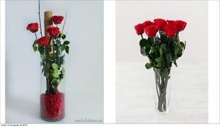 lunes 15 de agosto de 2016
 