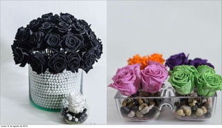 lunes 15 de agosto de 2016
 