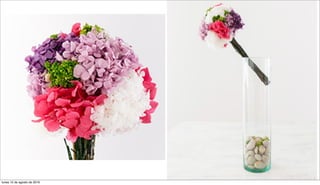 lunes 15 de agosto de 2016
 