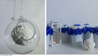 lunes 15 de agosto de 2016
 