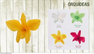 ORQUÍDEAS
lunes 15 de agosto de 2016
 